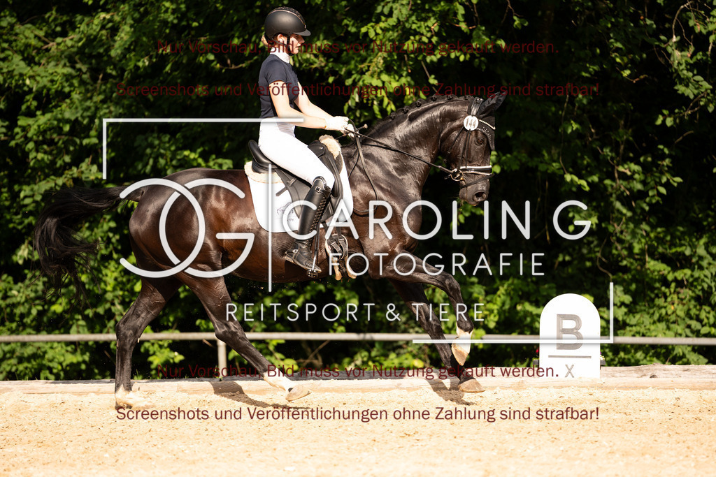 DSC07971 | Turnierfotografin Carolin Gieschke, Turnierfotografie Carolin G Fotografie, Turnierfotos Kirchheim/Teck, Esslingen, Stuttgart, Bodenseekreis