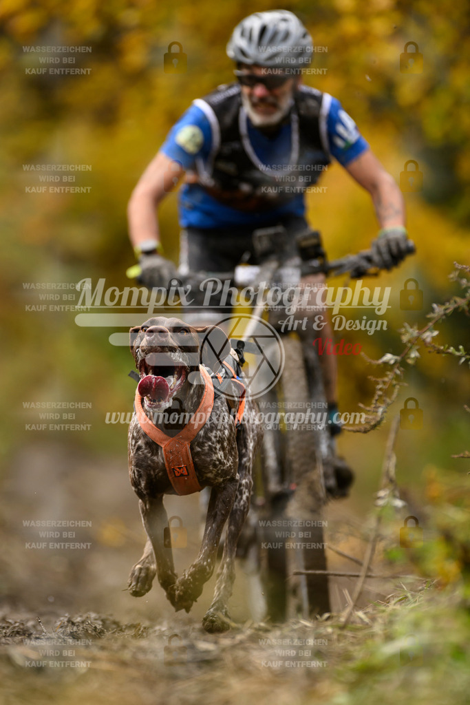 MompixPhotography_ICF_WC_2024_SA_Bike_-160 | PayLife
