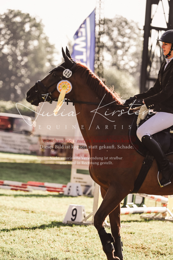 DSC_4565 | Pferde- und Turnierfotografie in Westsachsen. Pferdeportraits, Auftragszeichnungen und intuitive Kunst.