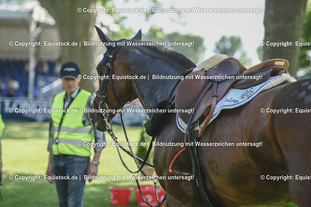 20230527_27_CCI4_Gelände_0485 | equistock