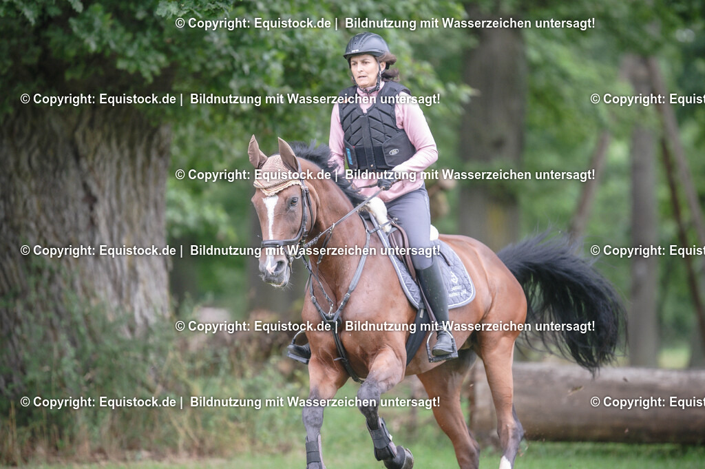 20250726_Vielseitigkeitslehrgang-Marbach_0249 | Foto: Thomas Hartig