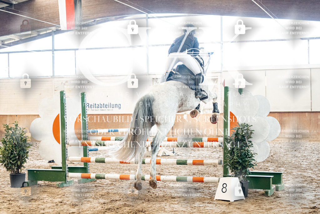 CK904365 | Turnierfotografie Pferdefotografie Trier Rheinland-Pfalz Pferdesport Reitsport Tierfotografie Sportfotografie Pferdevideo Pferdevideografie Equestrianvideography equestrianphotography  - Realized with Pictrs.com