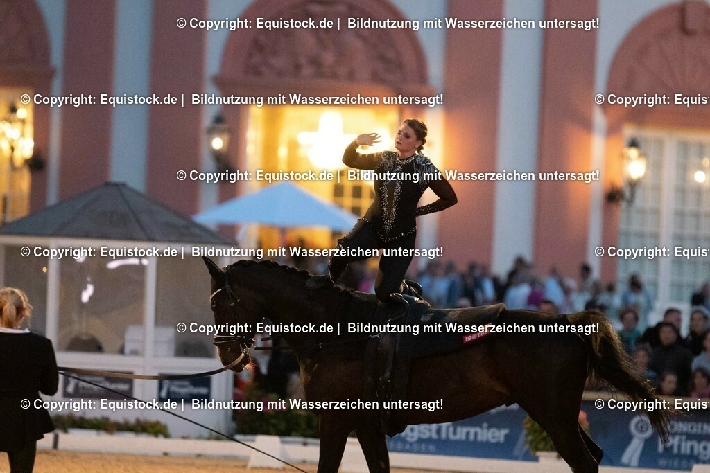 20230527_Voltigieren_NASPA_Flutlicht_0573 | equistock