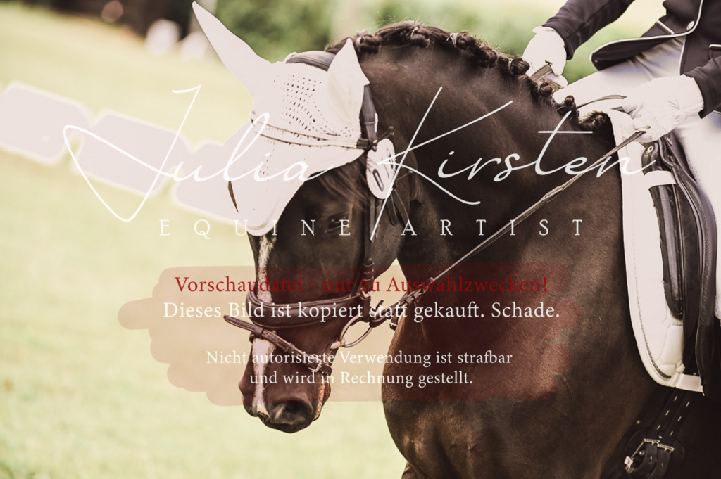 DSC_4804 | Pferde- und Turnierfotografie in Westsachsen. Pferdeportraits, Auftragszeichnungen und intuitive Kunst.