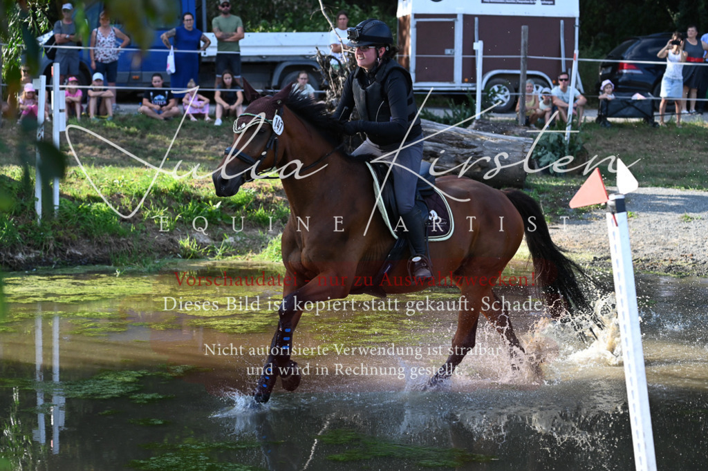 DSC_8986 | Pferde- und Turnierfotografie in Westsachsen. Pferdeportraits, Auftragszeichnungen und intuitive Kunst.