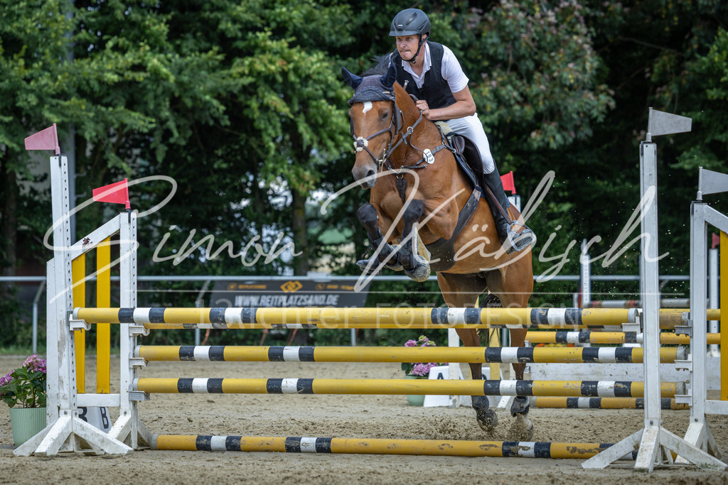 20260704-_3LI0508 | Tierfotografie Pferde, Hunde, Katzen, Haustiere.
Turnierfotografie Reitturniere, Reiten, Springreiten, Dressur in Hanau, dem Main-Kinzig-Kreis und dem Rhein-Main- Gebiet um Frankfurt