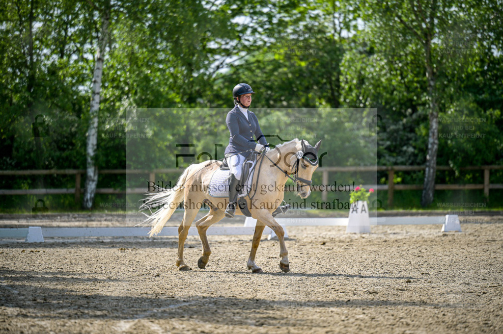 Reitturnier Lienen | Entdecke hochwertige Reitturnierfotos von Foto Oger. Professionell, emotional und authentisch – jetzt Lieblingsmomente im Shop bestellen. - Realisiert mit Pictrs.com