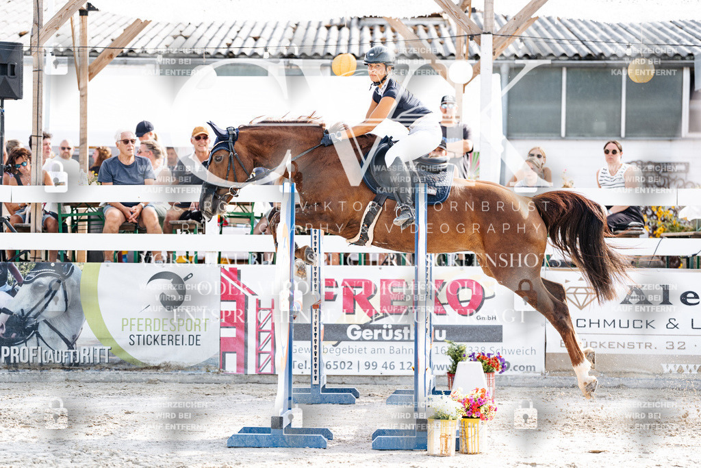 CK906070 | Turnierfotografie Pferdefotografie Trier Rheinland-Pfalz Pferdesport Reitsport Tierfotografie Sportfotografie Pferdevideo Pferdevideografie Equestrianvideography equestrianphotography  - Realisiert mit Pictrs.com