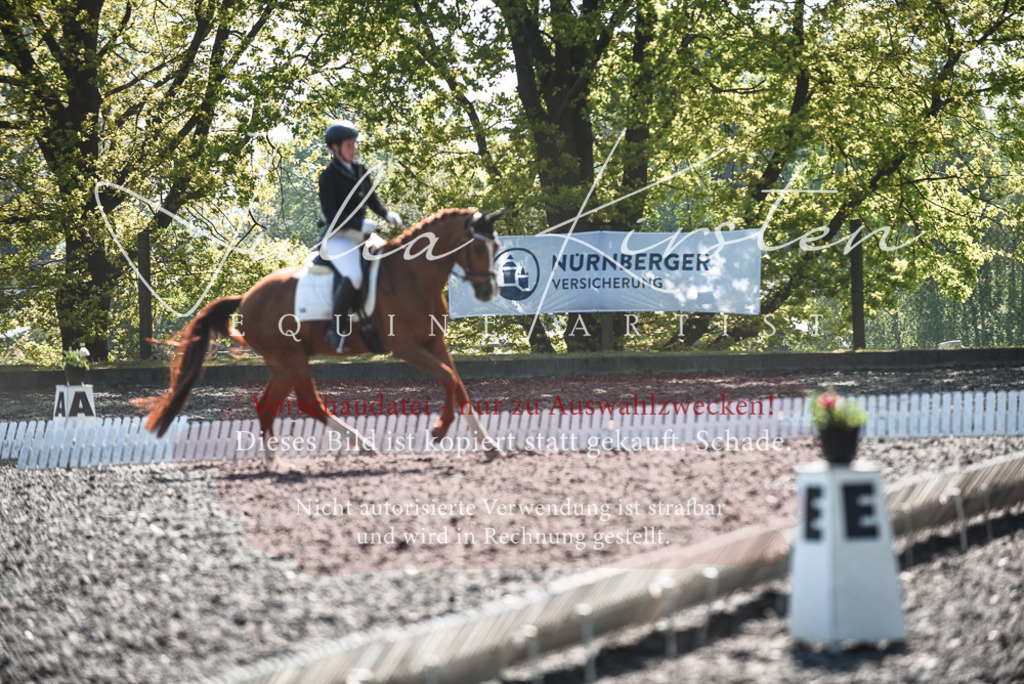 DSC_8753 | Pferde- und Turnierfotografie in Westsachsen. Pferdeportraits, Auftragszeichnungen und intuitive Kunst.