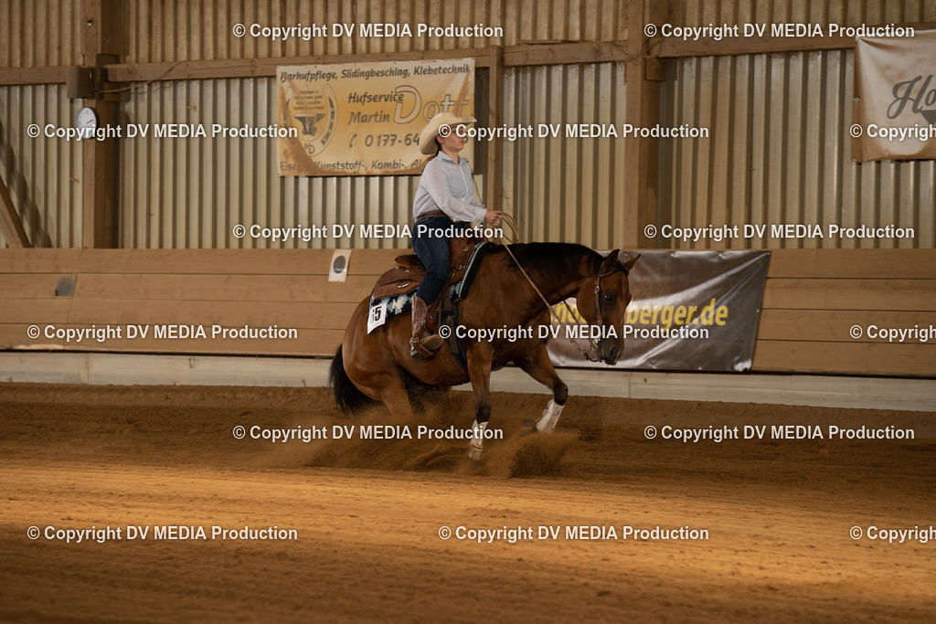 NID01937 | dv-media-shop - Realisiert mit Pictrs.com