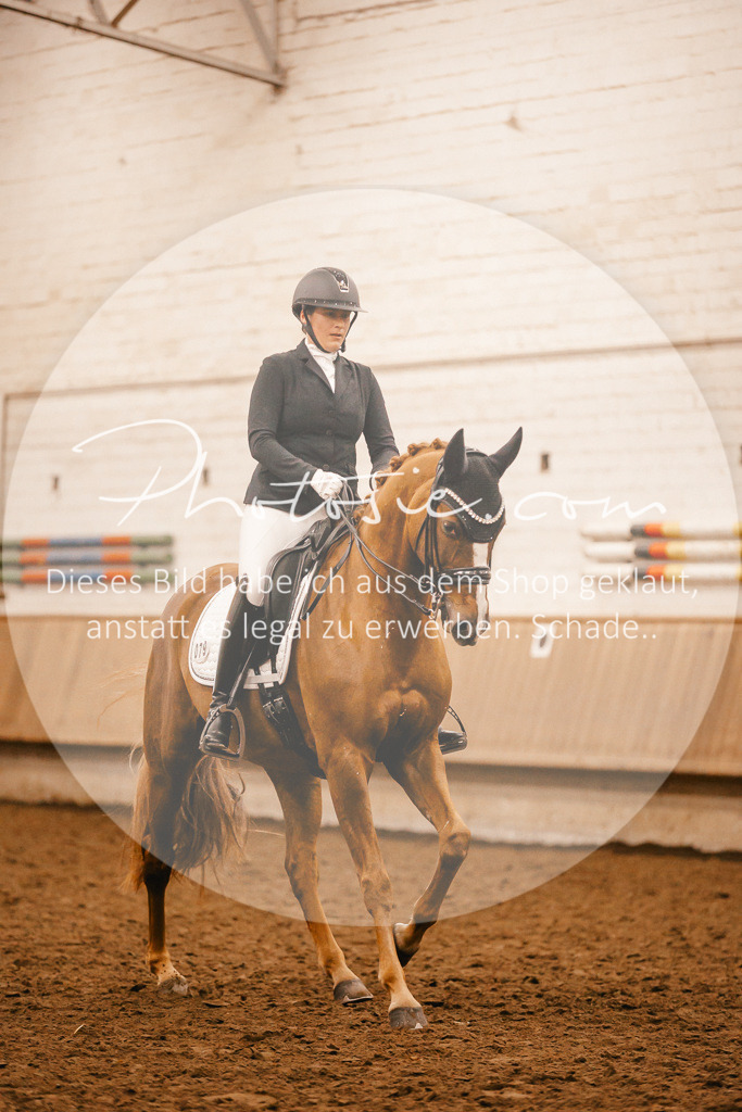 3I6A2843 | Stimmungsvolle Portraits und Reitsportfotografie im Ruhrgebiet und im Münsterland.

Pferdefotografie, Hundefotografie, Tierfotografie, Reportagen, Portraits von Tier und Mensch, Turnierfotografie in Bochum, Recklinghausen, Marl, Haltern am See, Dülmen.. - Realisiert mit Pictrs.com