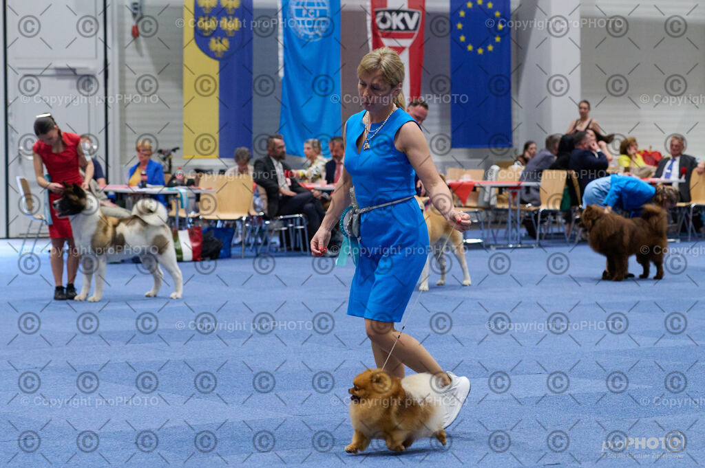 202406_ÖKV-IHA-Tulln24_DSC_3055 | proPHOTO - Realisiert mit Pictrs.com