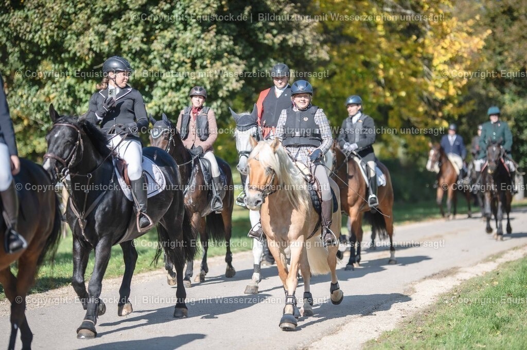 20251011_Jagd-Marbach_0604 | Foto: Thomas Hartig