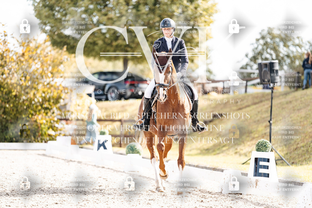 CK901861 | Turnierfotografie Pferdefotografie Trier Rheinland-Pfalz Pferdesport Reitsport Tierfotografie Sportfotografie Pferdevideo Pferdevideografie Equestrianvideography equestrianphotography  - Realisiert mit Pictrs.com