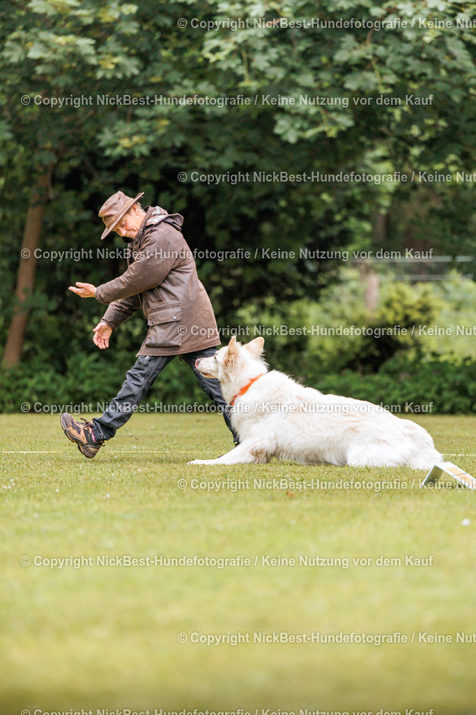 RO-Blumenthal-2026-Nickbest-Hundefotografie-1600 | Dein Hund! Dein Moment! Deine Erinnerungen! Hundefotografie in Bremen Blumenthal. Ich fange die besonderen Momente deines Vierbeiners ein – ob Indoor mit Blitzanlage oder in der freien Natur. Sicher dir dein Moment und dein Termin für eure Erinnerungen.