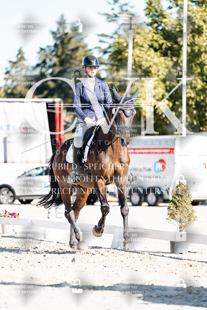 CK907379 | Turnierfotografie Pferdefotografie Trier Rheinland-Pfalz Pferdesport Reitsport Tierfotografie Sportfotografie Pferdevideo Pferdevideografie Equestrianvideography equestrianphotography  - Realisiert mit Pictrs.com