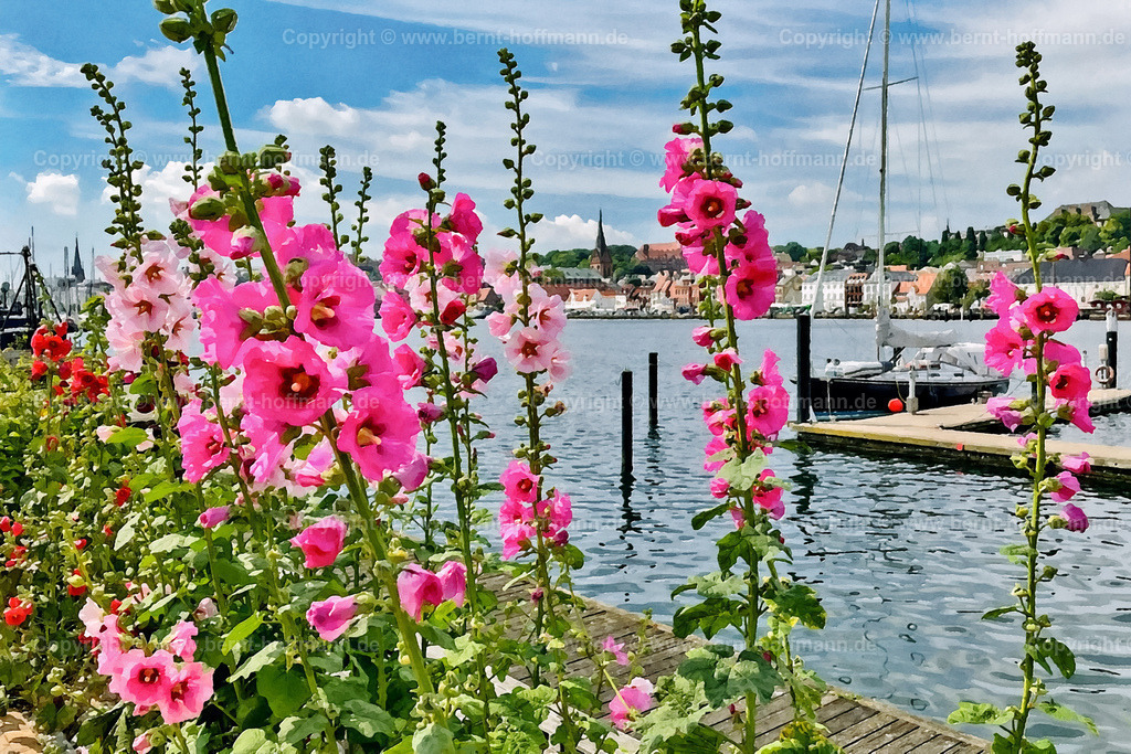 PDM2_3050_FL-Hafen-Ostufer_120x80 | DIGITALKUNST. Blütenzauber am Flensburger Innenhafen. __ Stockrosen am Yachthafen " Werftkontor " an der Ostufer -Promenade. - Realisiert mit Pictrs.com