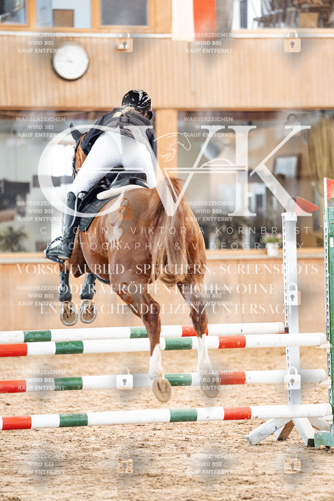 CK904127 | Turnierfotografie Pferdefotografie Trier Rheinland-Pfalz Pferdesport Reitsport Tierfotografie Sportfotografie Pferdevideo Pferdevideografie Equestrianvideography equestrianphotography  - Realisiert mit Pictrs.com