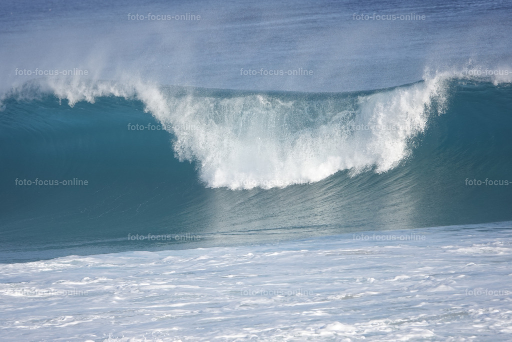 Wild Waves | Wild Waves Atlantic