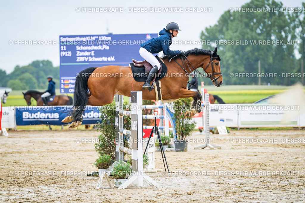 DSC03735 | Pferdegrafie