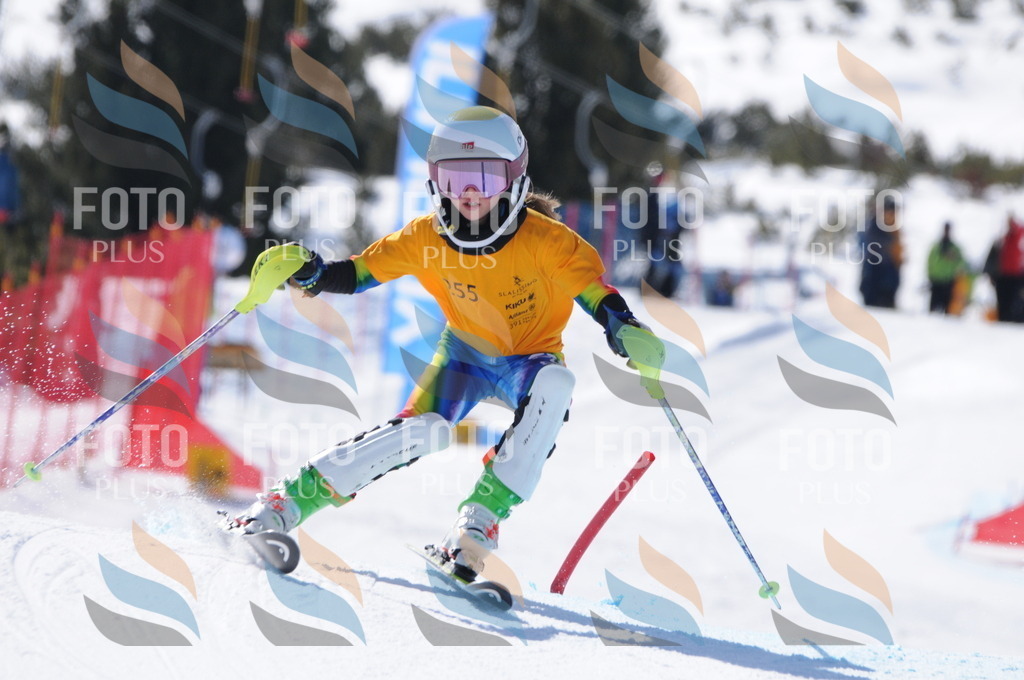 C8875 | holidayphoto