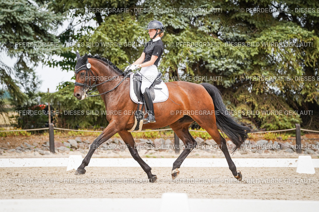 DSC06131 | Pferdegrafie