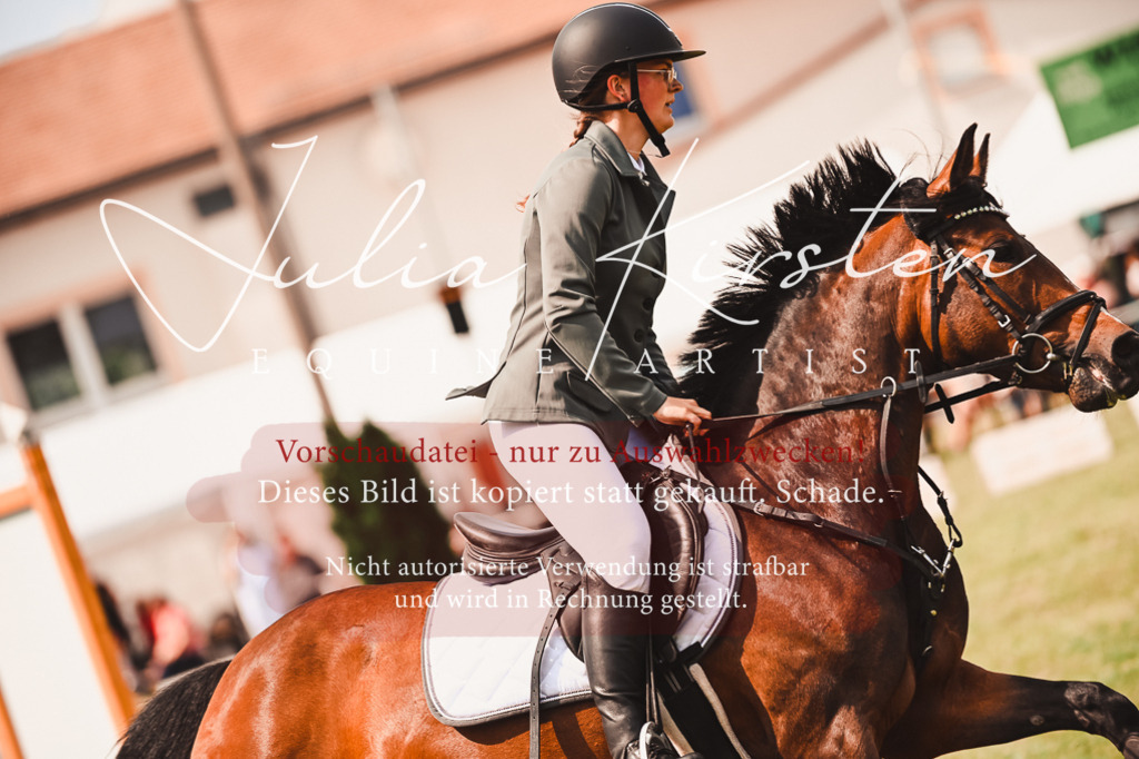 DSC_6912 | Pferde- und Turnierfotografie in Westsachsen. Pferdeportraits, Auftragszeichnungen und intuitive Kunst.