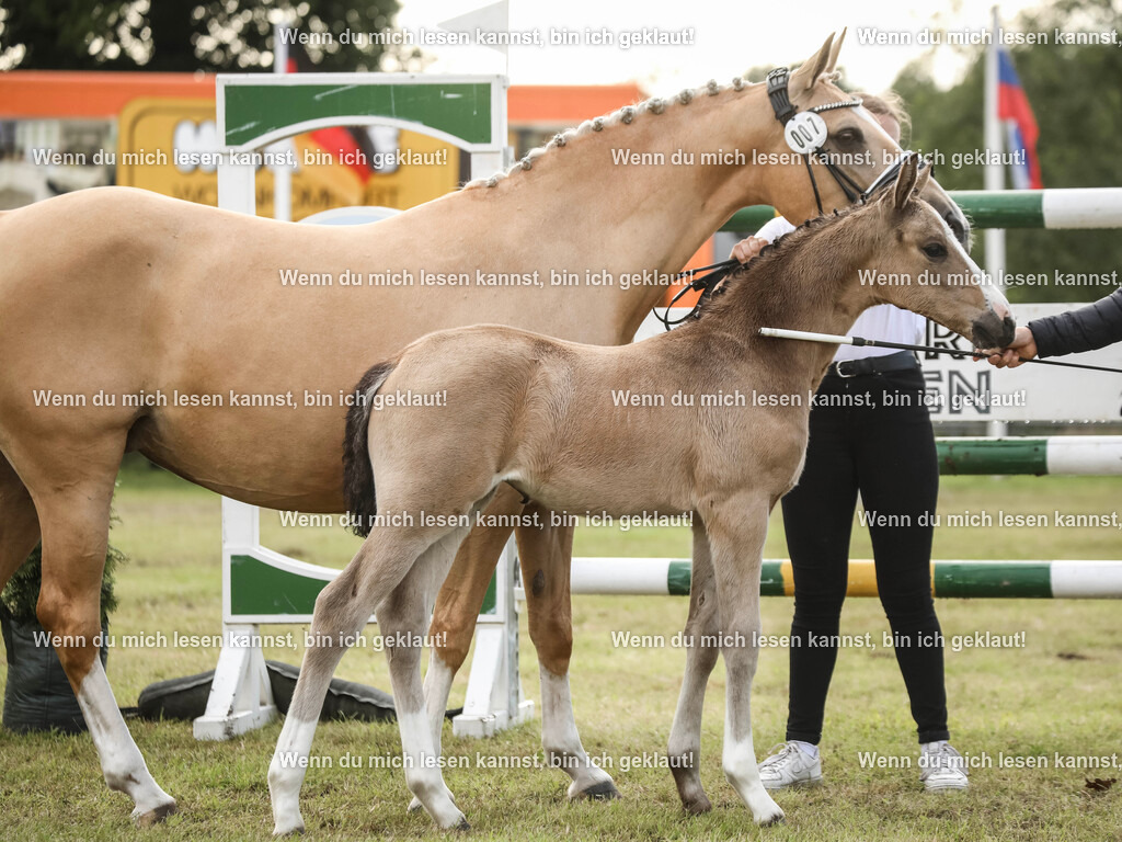 598A2396-2 | photographylinaismer - Realisiert mit Pictrs.com