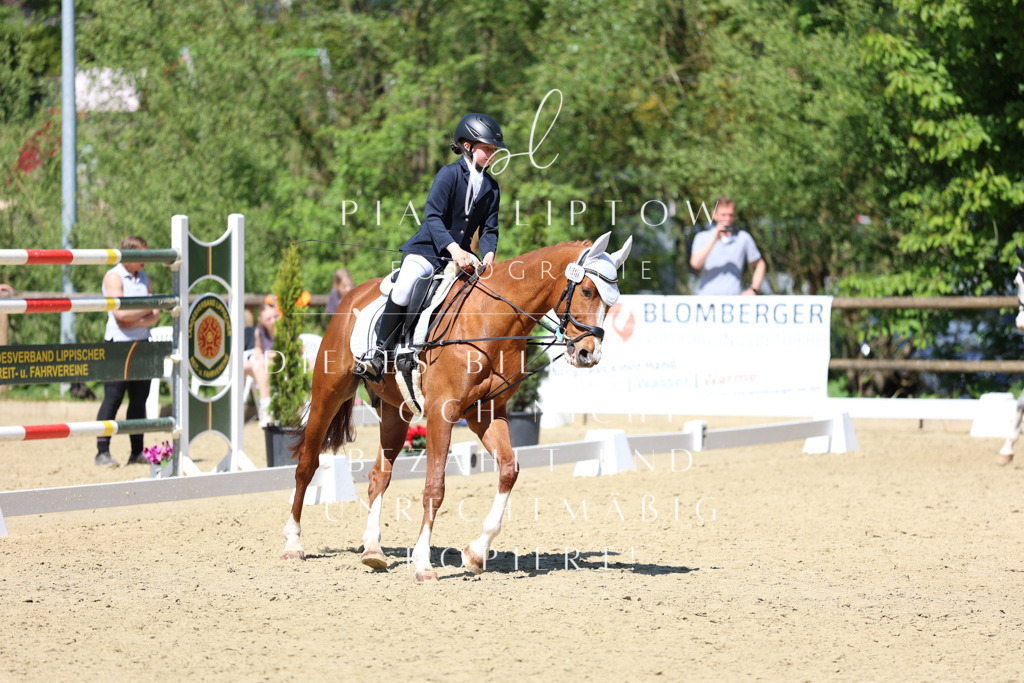 IMGS3268 | pl-fotografie