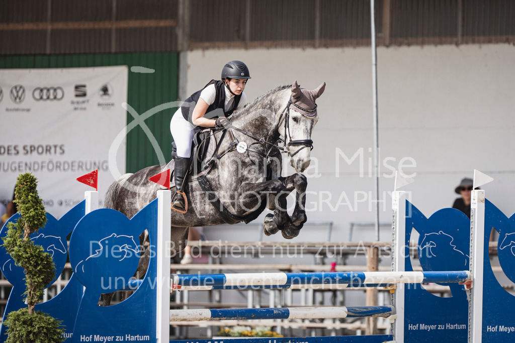 250629_PfSpTa_Stil-L2-323 | Deine schönsten Turniermomente als professionelle Fotos! Entdecke hochwertige Pferdesport-Fotografie im Online-Shop. Jetzt Fotos finden & bestellen!