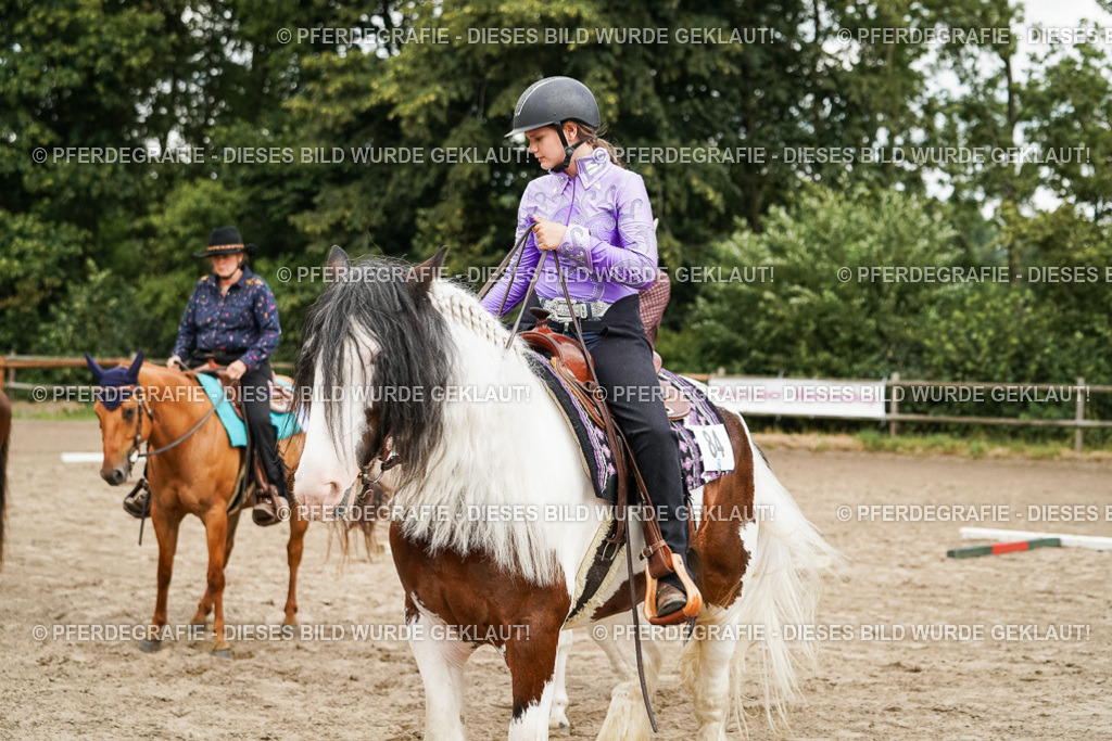 DSC08147 | Pferdegrafie