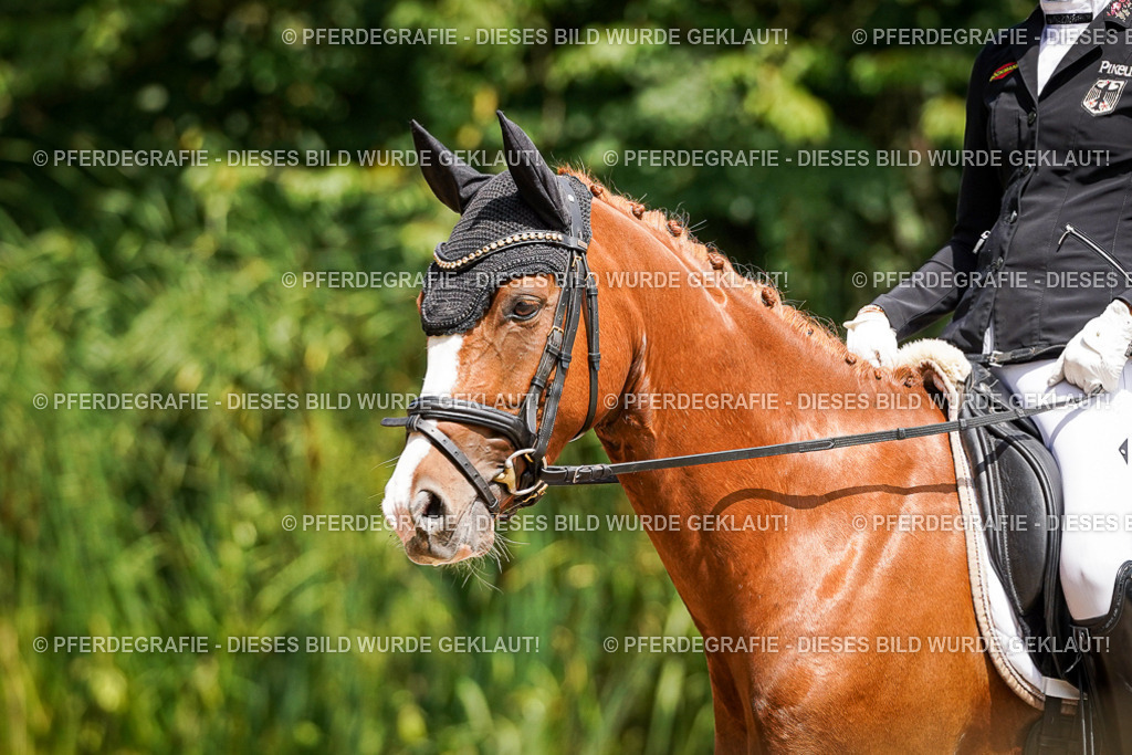 DSC00817 | Pferdegrafie