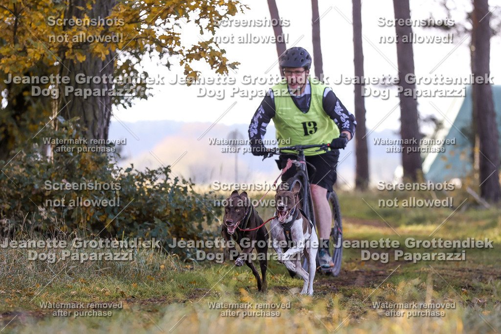 Dog Paparazzi - Elsholz 25 -72 | Dog Paparazzi Jeanette Grottendiek Fotografie & Videografie - Realisiert mit Pictrs.com