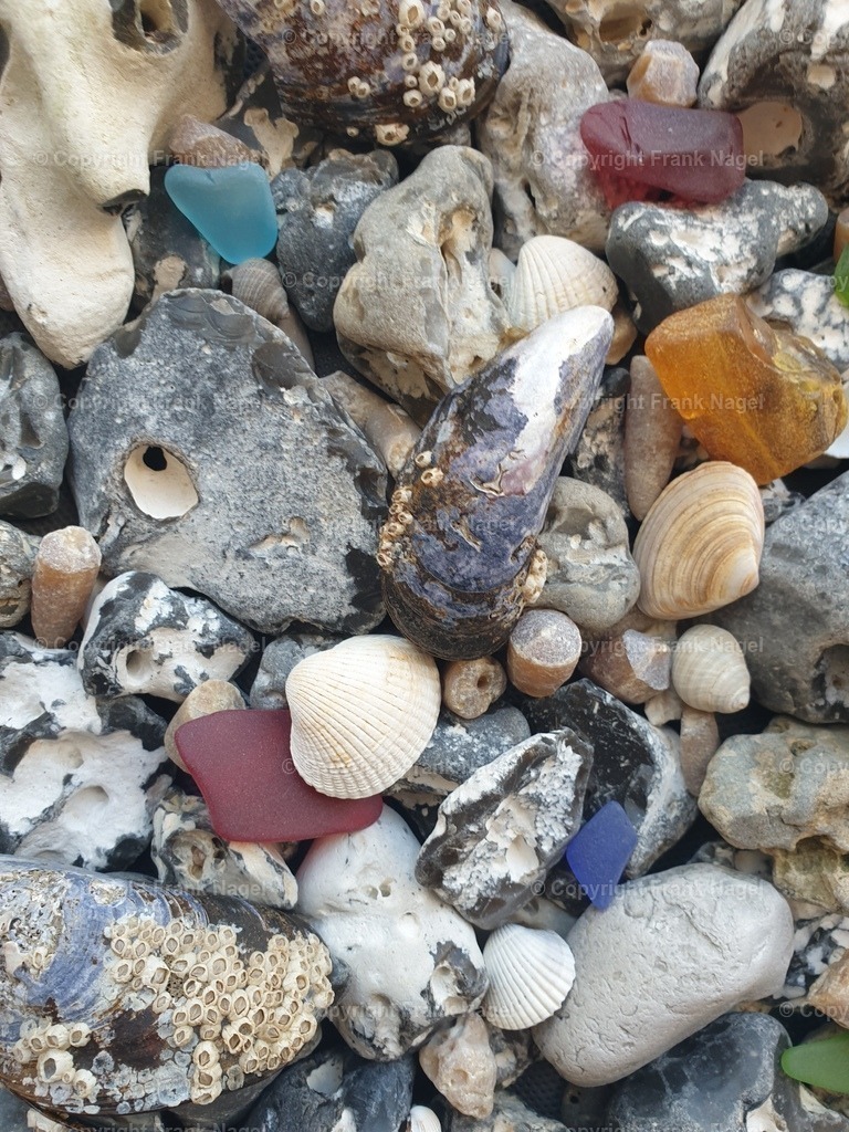 Strandgut4 | dataxp - Realisiert mit Pictrs.com