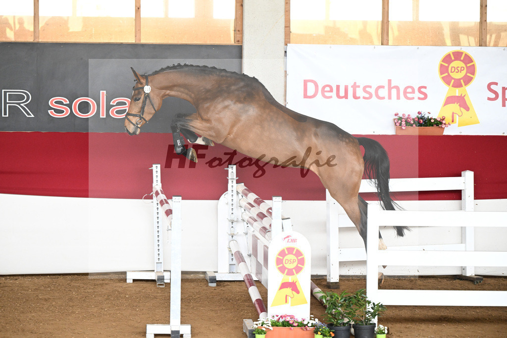 Kat-Nr. 31 Camilla v. Cornet Obolensky_Isaak_9240751 | hf-fotografie - Realizzato con Pictrs.com
