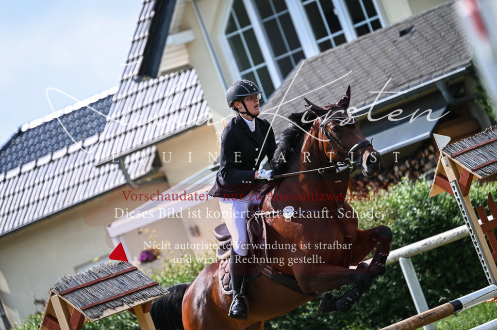 DSC_8504 | Pferde- und Turnierfotografie in Westsachsen. Pferdeportraits, Auftragszeichnungen und intuitive Kunst.