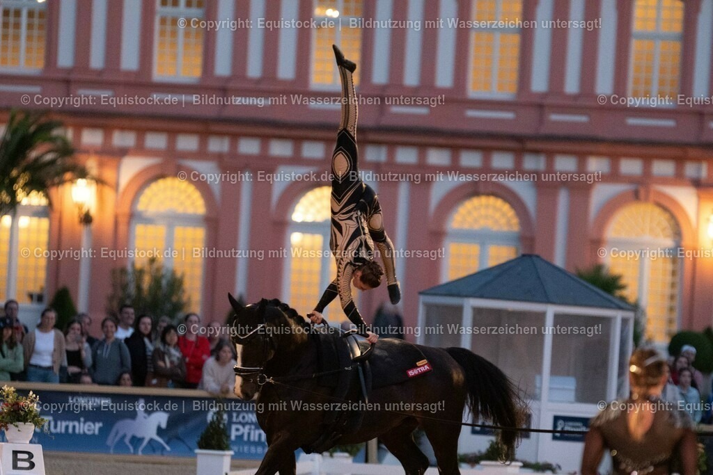 20230527_Voltigieren_NASPA_Flutlicht_0550 | equistock
