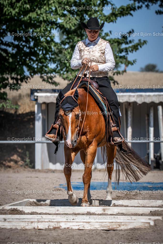 LOE03536 | BS-foto