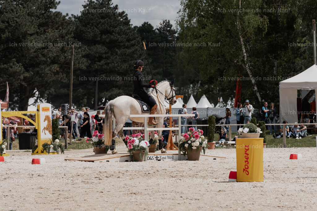 WE_ST_Stoib_336_PI2025_1122 | Pferd International München 2025