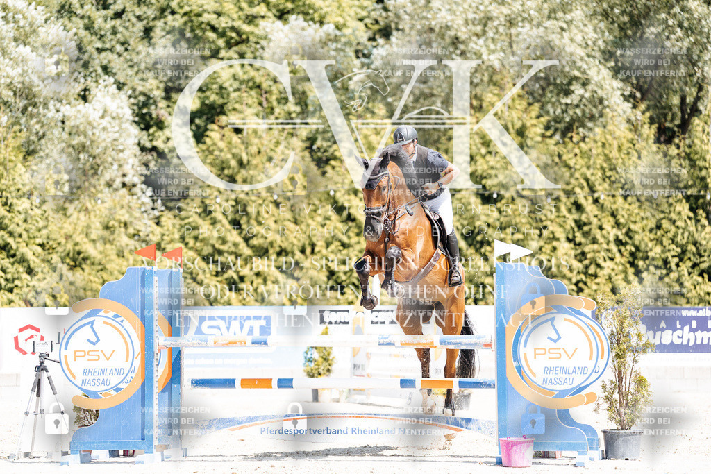 CK900668 | Turnierfotografie Pferdefotografie Trier Rheinland-Pfalz Pferdesport Reitsport Tierfotografie Sportfotografie Pferdevideo Pferdevideografie Equestrianvideography equestrianphotography  - Realisiert mit Pictrs.com