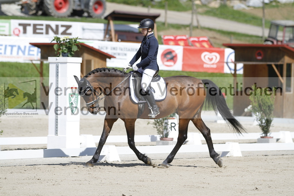 _MG_6637 | equestrian-live-com