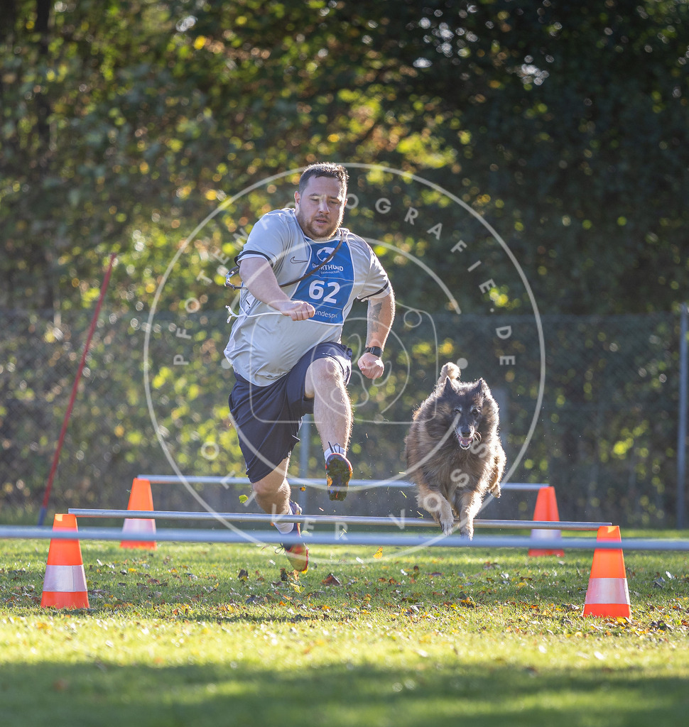 Pfotenfotografie.de_DV3A3169 | Hundefotografie, Tierfotograf, Pfotenfotografie, Fotoshooting Hund, Hunde Portrait, Hundesport, Hundeportraits, Heideshooting, Hunde, Sportfotograf, Hundefotograf, Turnierhundsport, THS, canicross - Realisiert mit Pictrs.com
