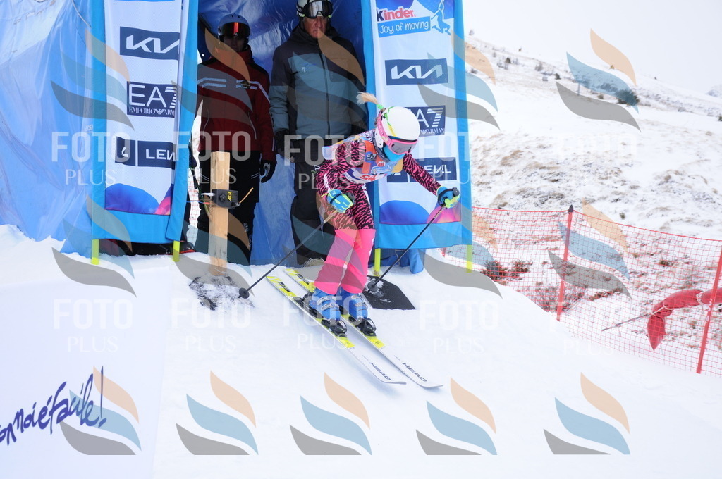 DSC_8272 | holidayphoto