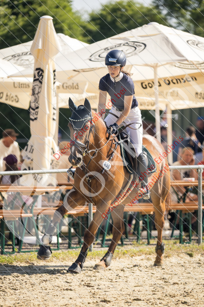 IMG_2862 | Sport-, Event- und Tierfotos in Profiqualität. Einfach auswählen, bestellen und herunterladen. Dein Moment – perfekt festgehalten.