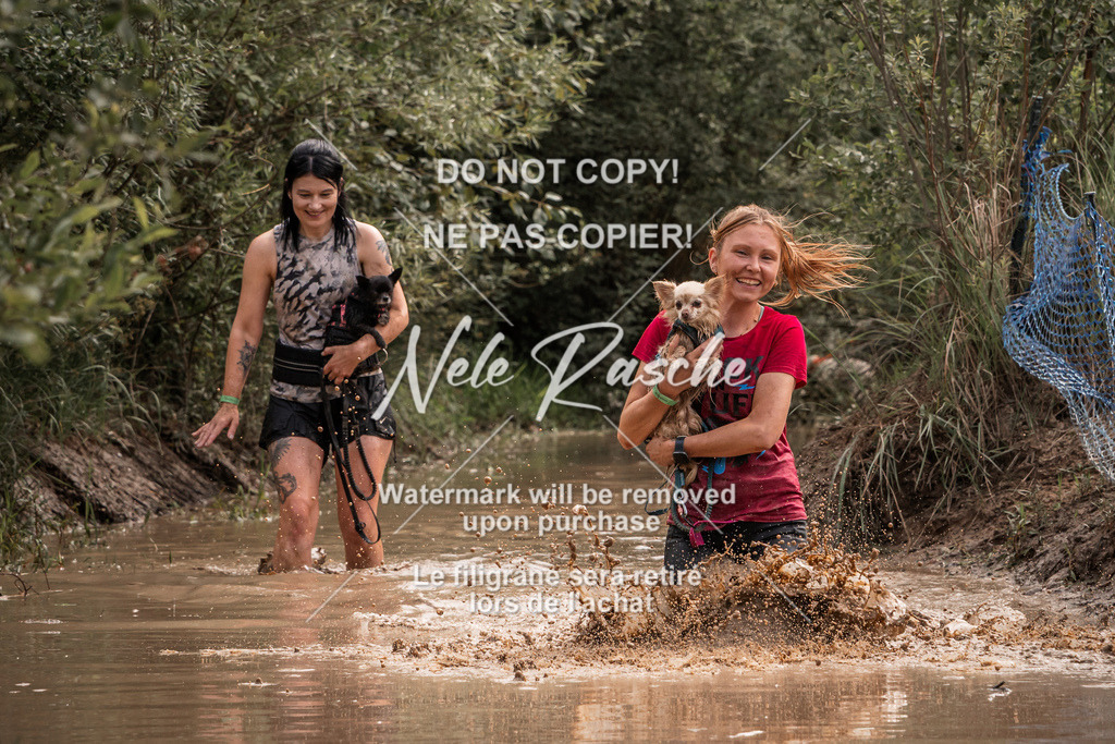 nelerasche_Hoope2026_So1030-1100_241 | nelerasche