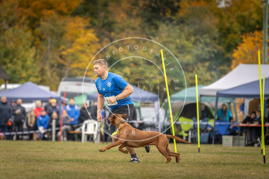 Pfotenfotografie_DV3A5247 | Hundefotografie, Tierfotograf, Pfotenfotografie, Fotoshooting Hund, Hunde Portrait, Hundesport, Hundeportraits, Heideshooting, Hunde, Sportfotograf, Hundefotograf, Turnierhundsport, THS,  - Realisiert mit Pictrs.com