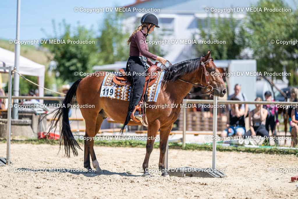 LM Heiligenwald Tag 1-1453 | dv-media-shop - Realisiert mit Pictrs.com