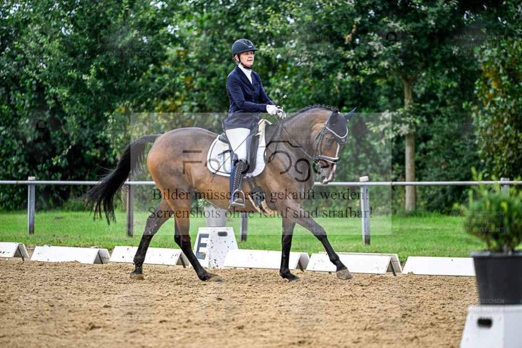 Reitturnier Hasbergen | Entdecke hochwertige Reitturnierfotos von Foto Oger. Professionell, emotional und authentisch – jetzt Lieblingsmomente im Shop bestellen. - Realisiert mit Pictrs.com