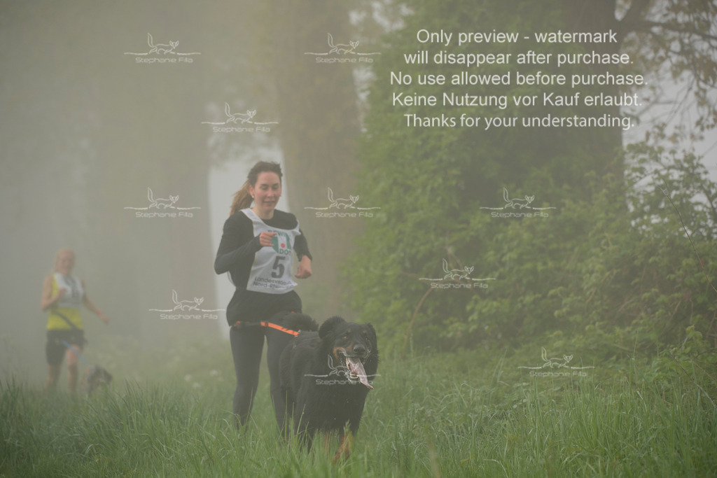 SA_GL2-25 | stephaniefillaphotographie - Realisiert mit Pictrs.com