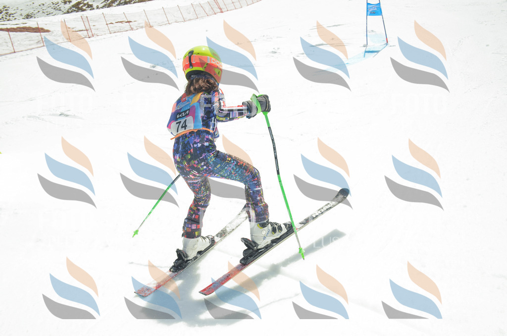 _ELE5476 | holidayphoto